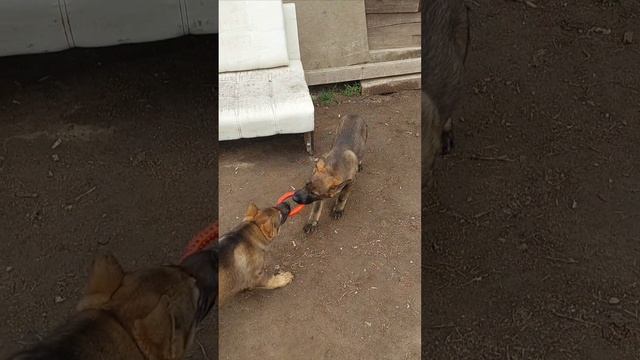 1000171457.mp4
