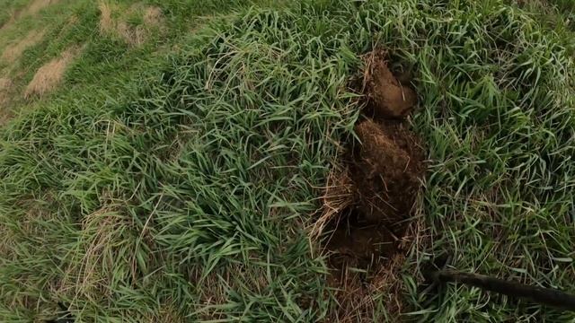 Коп металла на ферме возле дома.Находки самое то#metaldetec