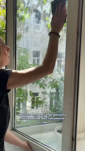 А как часто вы моете окна?
