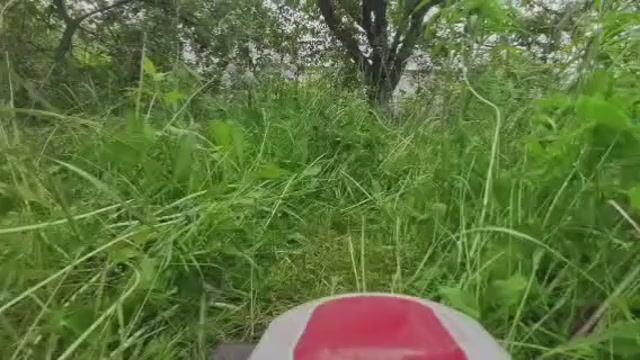 "Мы не косим, мы траву валим." 🙈