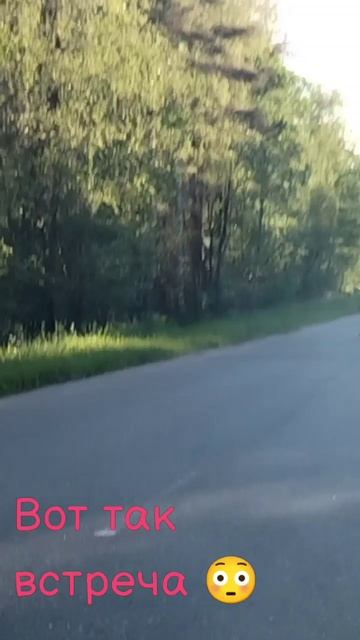 Вот так встреча 😳
