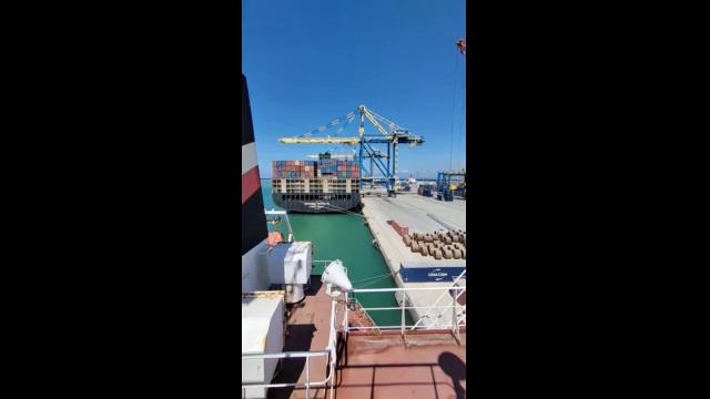 Онегин  Разочарование  Человек это животное которое рассуждает   Россия и Европа   Рождество и Пасха