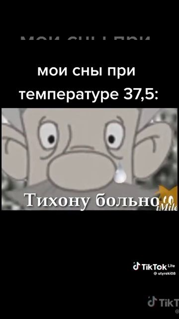 мои сны