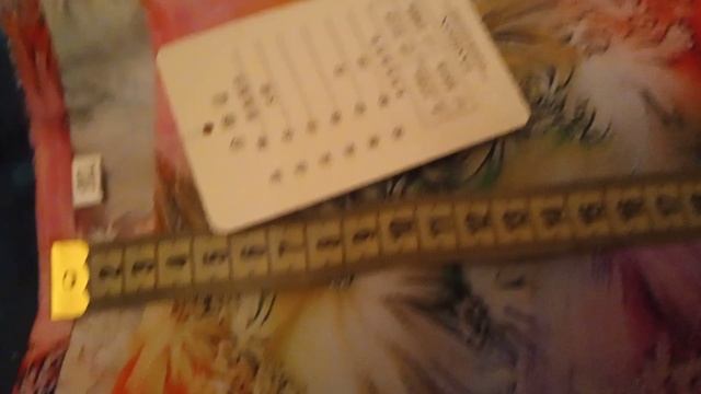 VID_20250604_010333
