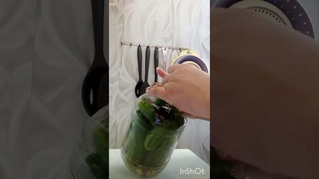 Засолка огурцов.