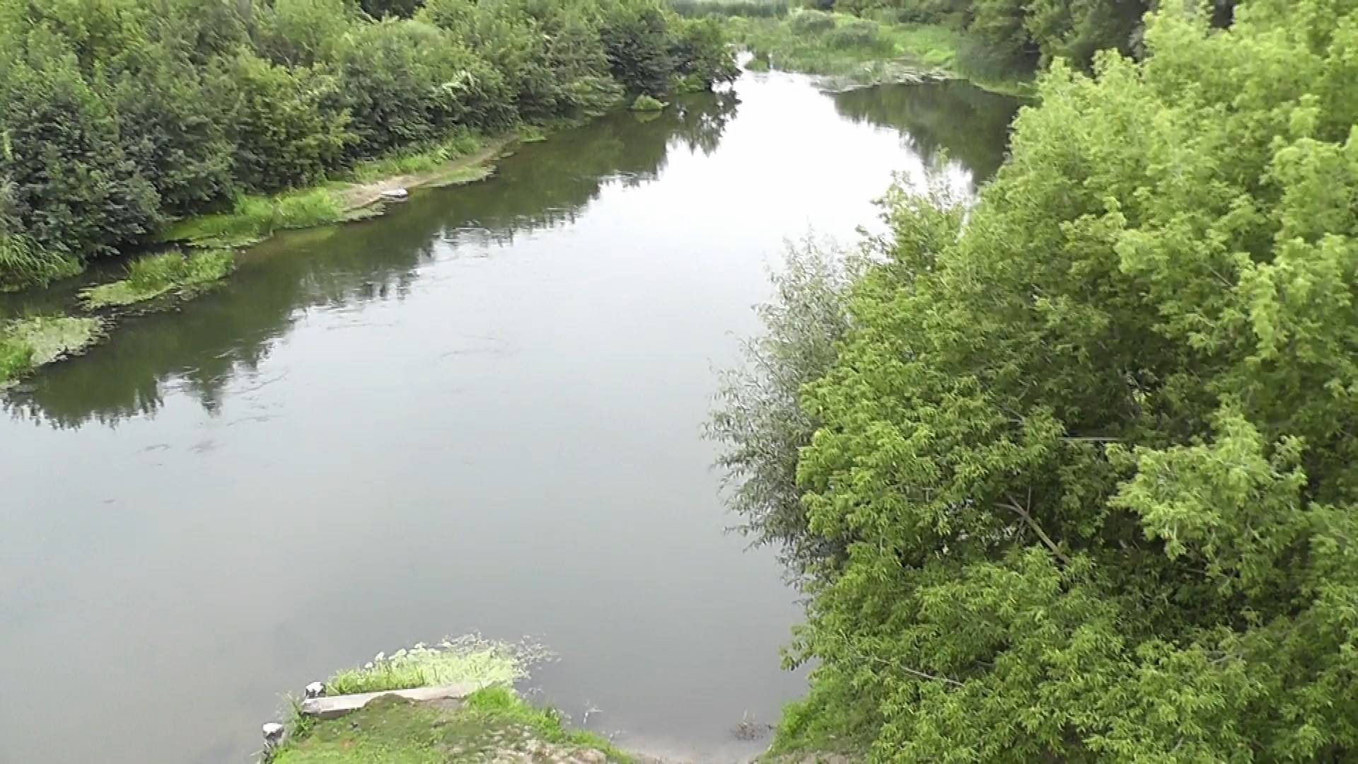 Саратовская область. Лысогорский район.Река Медведица.
