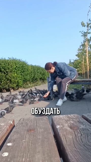 Любой хаос в жизни можно обуздать