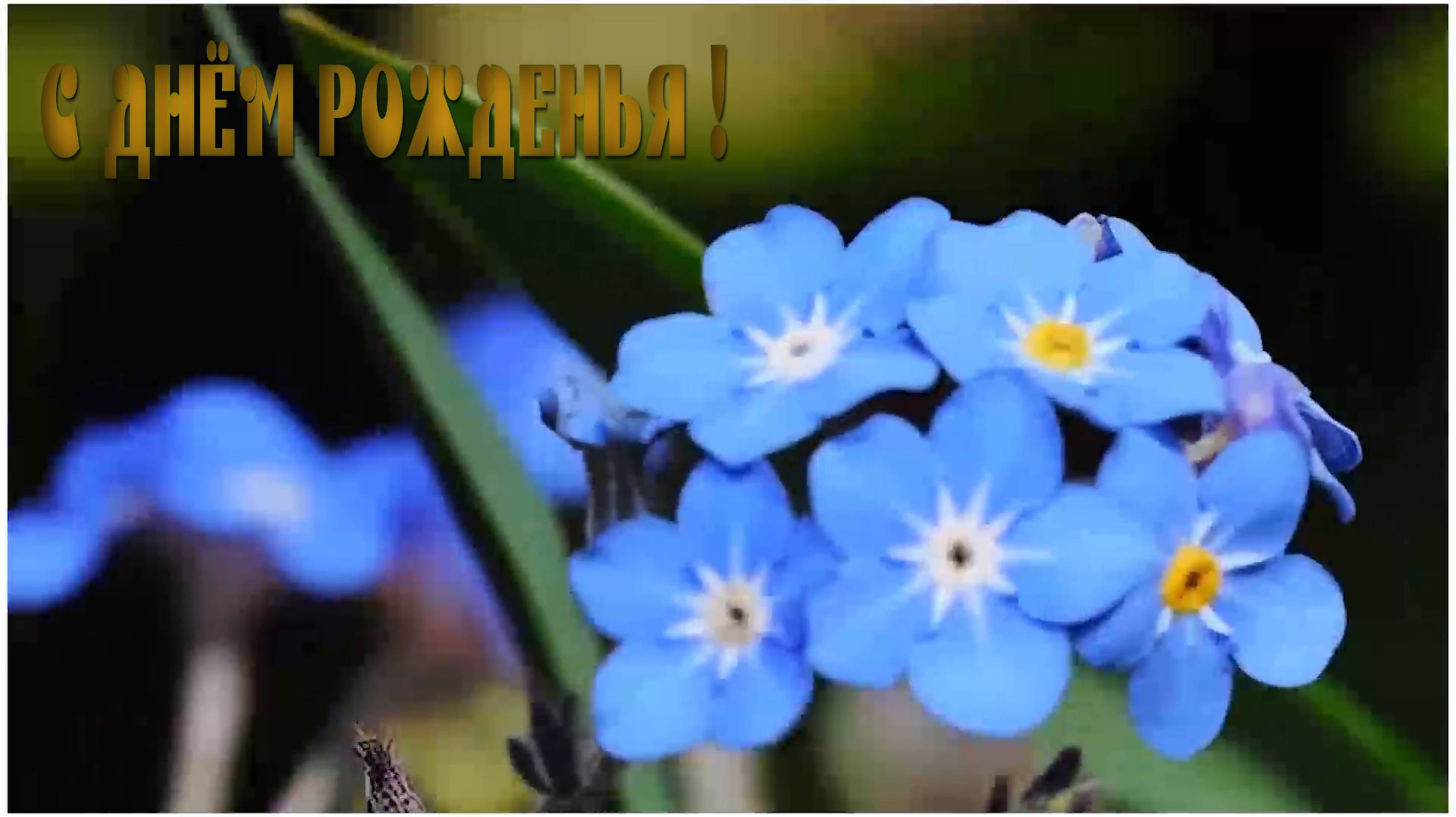 С Днём рождения !