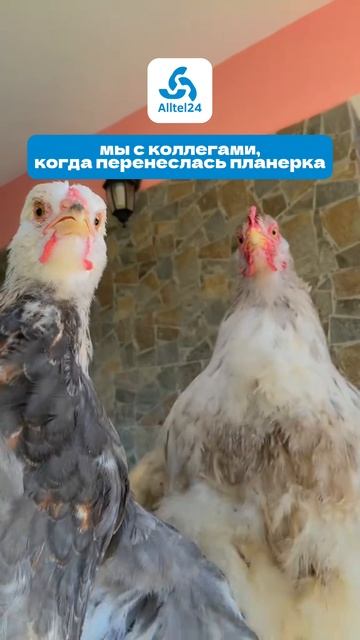 У кого так же?😂😂