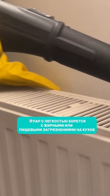 🔥 Обработка паром — то, на что нельзя жалеть деньги! 💨