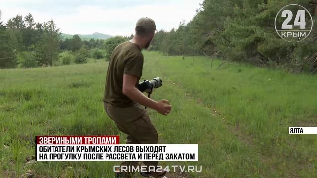 Найти своих фотомоделей на горных тропах: как сотрудники заповедников следят за дикими животными