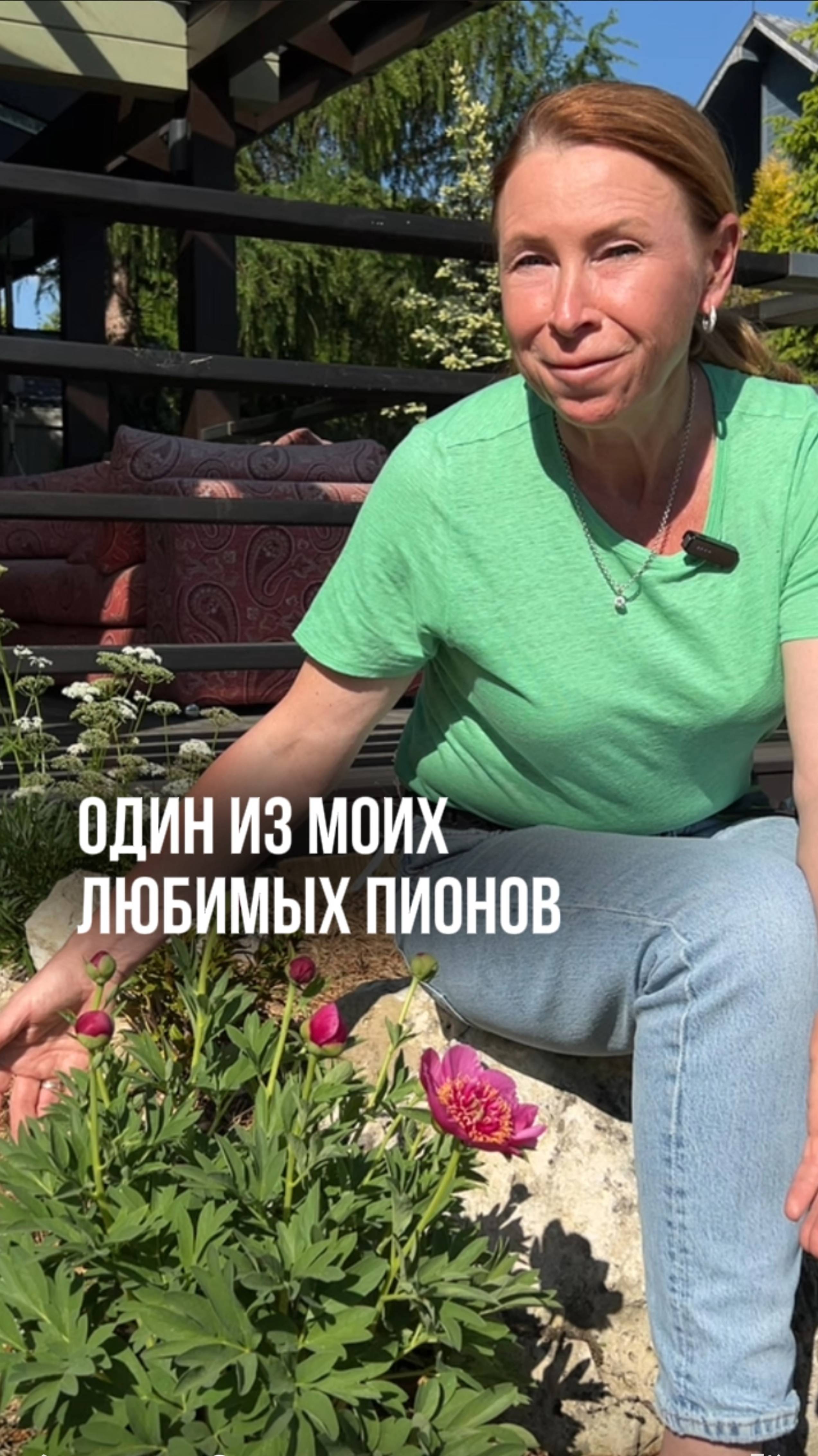 А вы любите пионы?