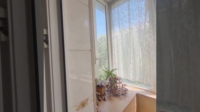 Однокомнатная квартира по ул.Красная 37.