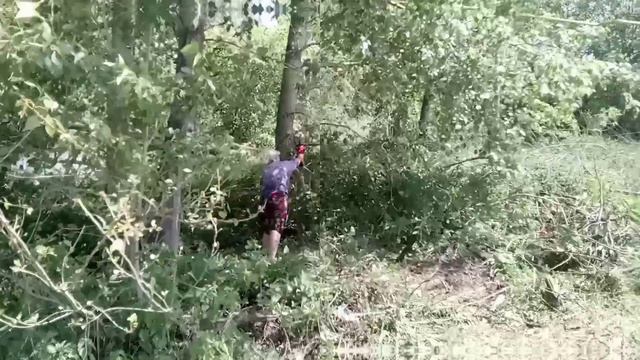 😜 От заброшенной местности, до шикарной территории!!!