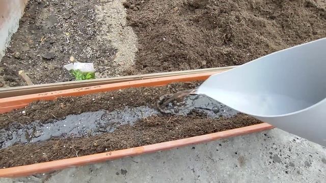 21. Продолжение ремонта,привезли землю под рассаду,выс?