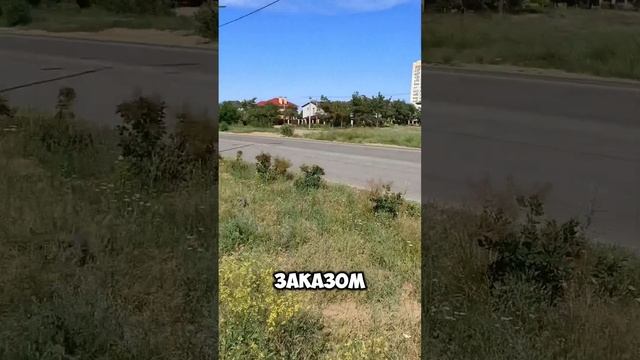 1000081537.mp4