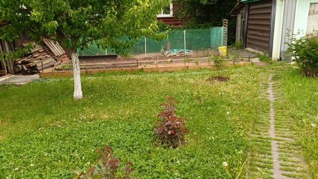 Утренняя прогулка по саду, к птичке 🏡🐔🐣🦆. Гуси в кадре! 🪿 Начали ремонт пола в коридоре🤦♀️.