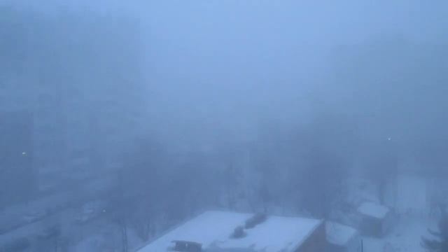 Туманное утро. Явления природы