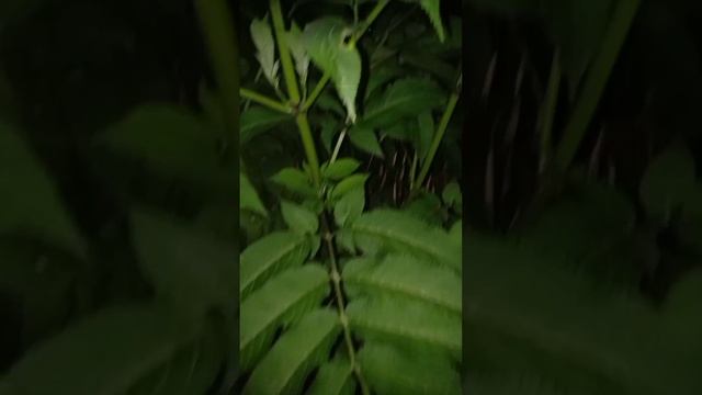 СКАЖИ СПАСИБО