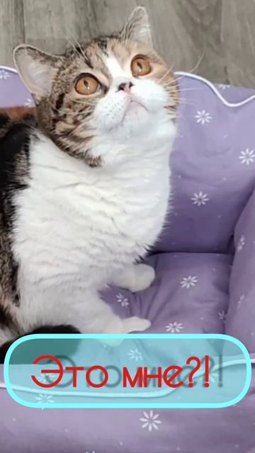 Это мне? .mp4