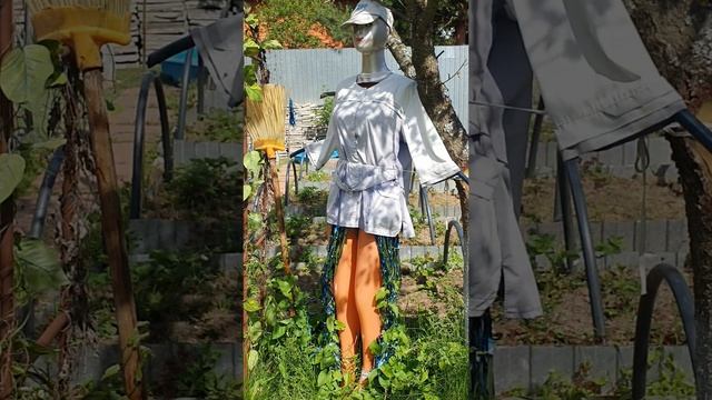 🧹🧺🏡 Дела дачные Июнь 2025 Видеодневник