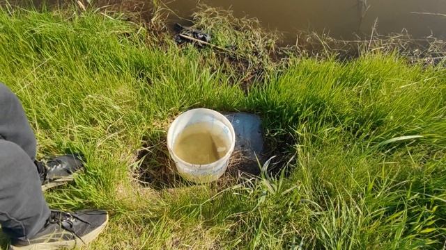 В 5 часов утра уже на рыбалке // Мы это сделали, мы молодцы