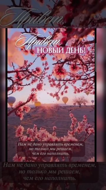 Доброе утро #доброеутро #благодарность