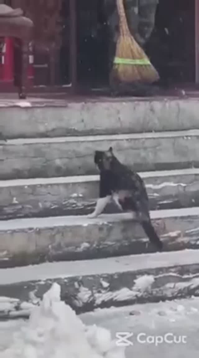 Когда на улице очень холодно!