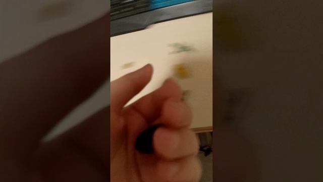 новое растение