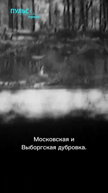 Защитим город Ленина