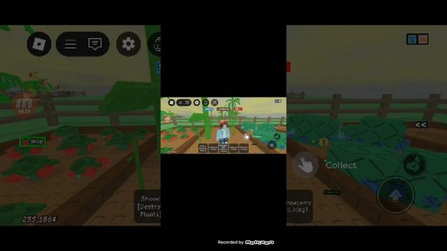 играю в роблокс