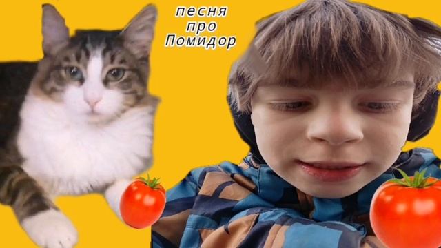 Кокос Кот,Митя,Песня про помидоры ,Бит банан бит, котик