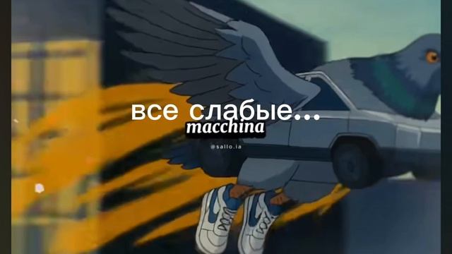 эдит 2