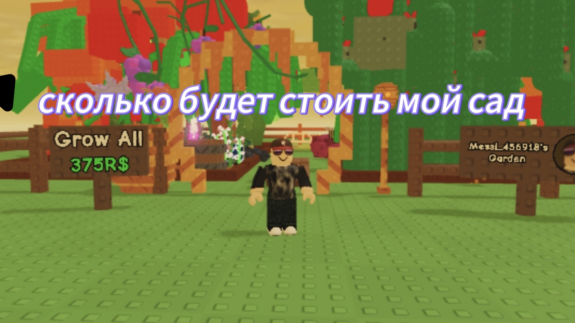 мой сад (часть5)