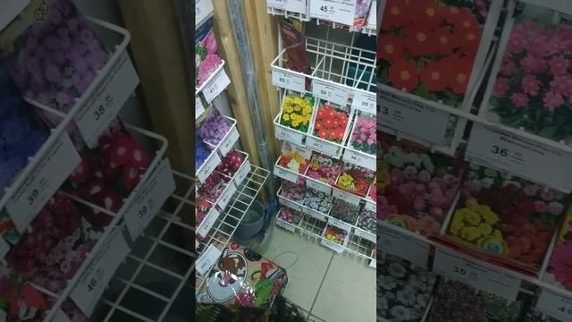 покупаю недостающие семена.