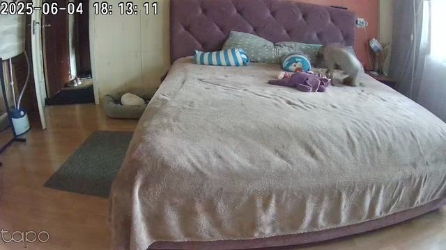 1000041896.mp4