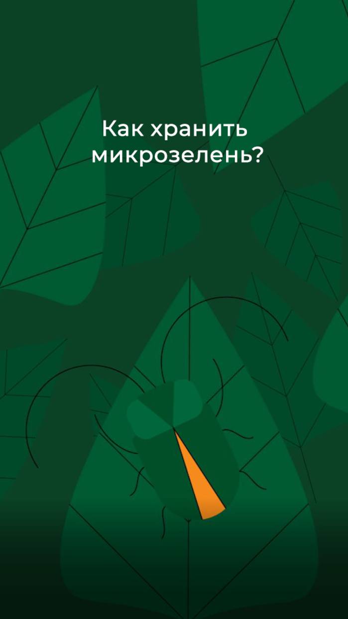 Как хранить микрозелень?