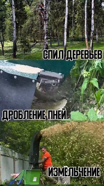 1000040238.mp4