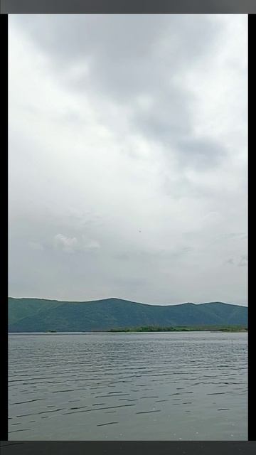 Орлан