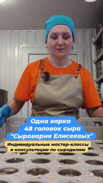 Одна варка   48 головок сыра / "Сыроварня Елисеевых"