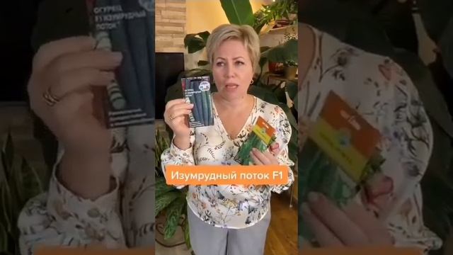 Топ самых урожайных огурцов