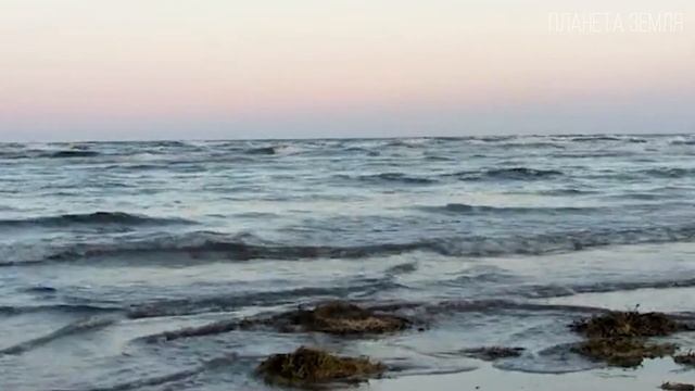Белое море Холодное Очарование Родины Поморов  Интересные факты про Белое море