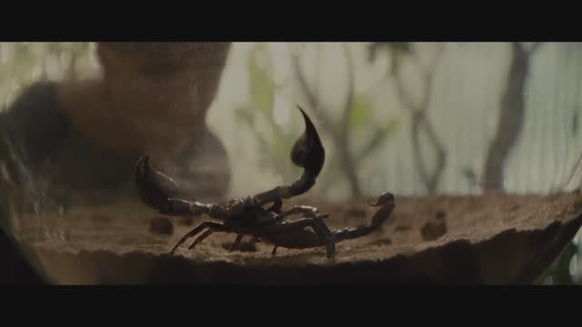 «Чужой: Земля» (Alien: Earth — официальный трейлер фильма