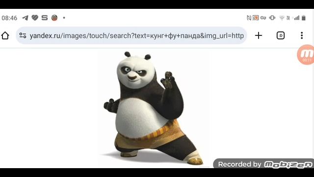 Кунг Фу Панду перевели из реанимации в обычную палату состояние улучшилось 05.06.25