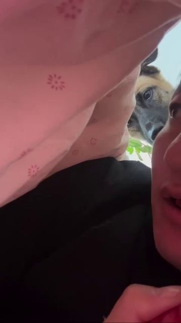 Что тут у нас?