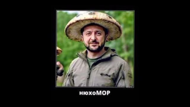 Зеленский после разговора Трампа с Путиным опять принялся "учить" Трампа
