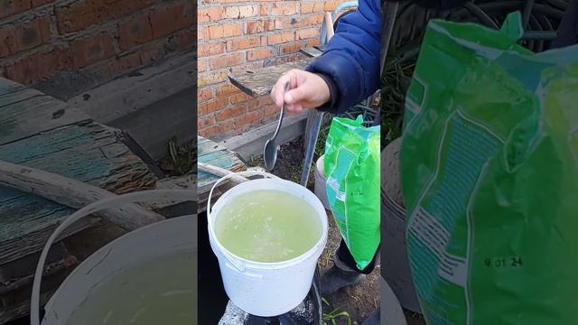 Полезное удобрение для растений