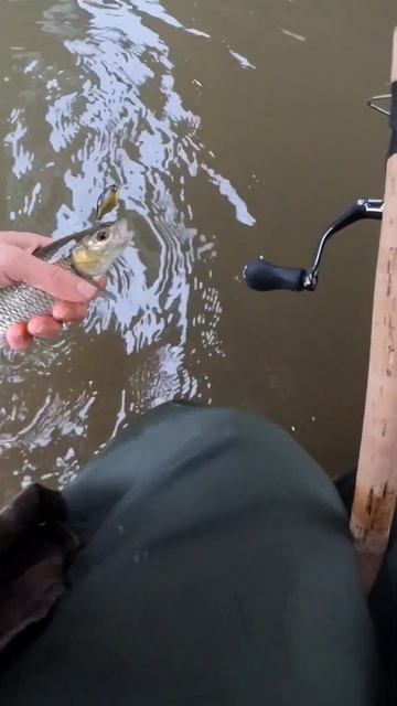 Как круто он работает!!! #fishing #рыбалка #shots #спиннинг