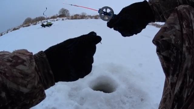 ловля крупного голавля и окуня на безмотылку