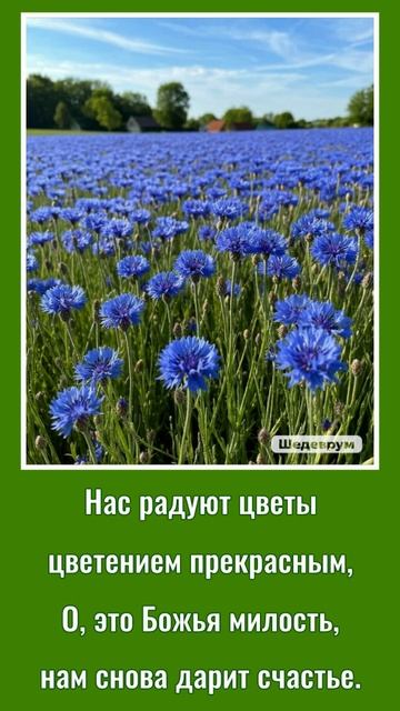 Лето